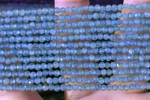 CTG1380 15.5 inches 2mm faceted round tiny apatite beads