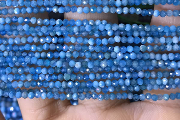 CTG1418 15.5 inches 2mm faceted round apatite beads wholesale