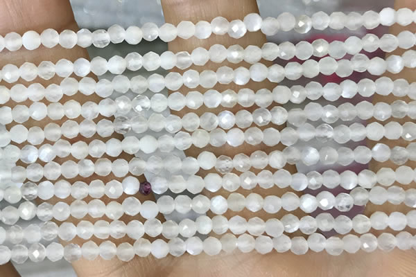 CTG1480 15.5 inches 3mm faceted round white moonstone beads