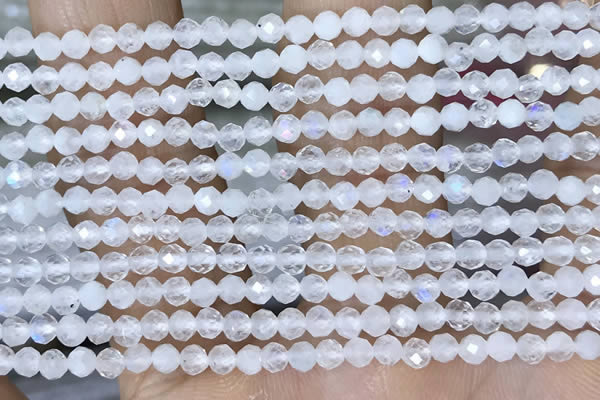 CTG1482 15.5 inches 3mm faceted round white moonstone beads