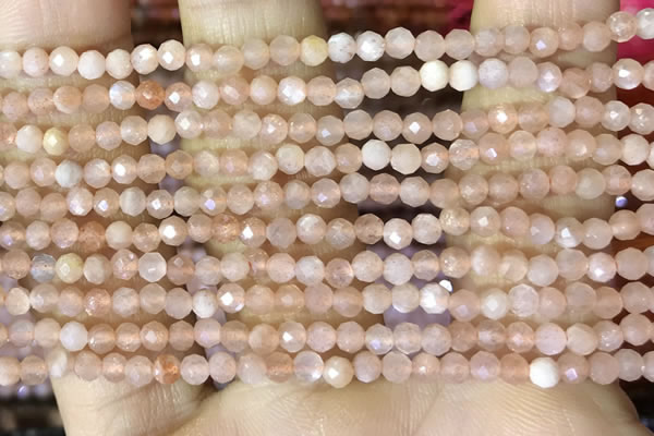CTG1502 15.5 inches 3mm faceted round moonstone beads wholesale