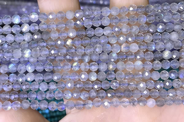 CTG1508 15.5 inches 3mm faceted round labradorite beads wholesale