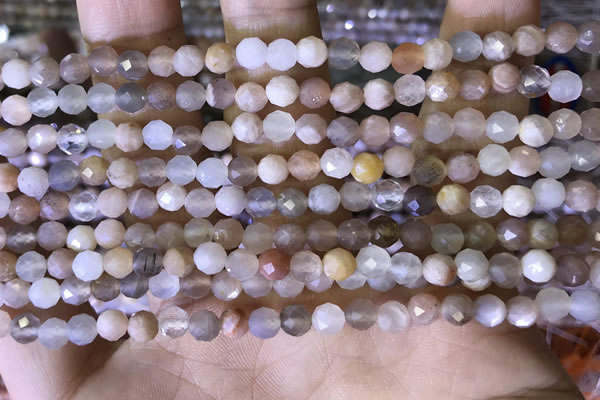CTG1550 15.5 inches 4mm faceted round moonstone beads wholesale