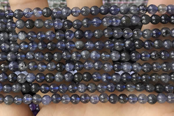 CTG1591 15.5 inches 4mm round iolite gemstone beads wholesale