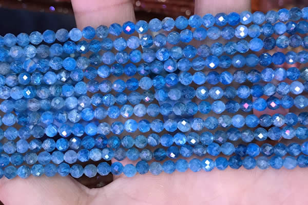 CTG1614 15.5 inches 3.5mm faceted round tiny apatite beads