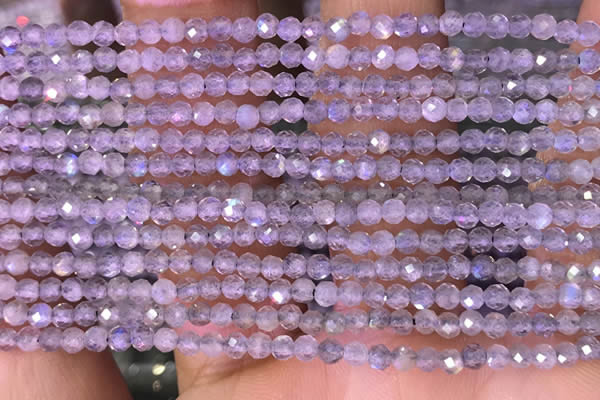 CTG1618 15.5 inches 2mm faceted round tiny labradorite beads