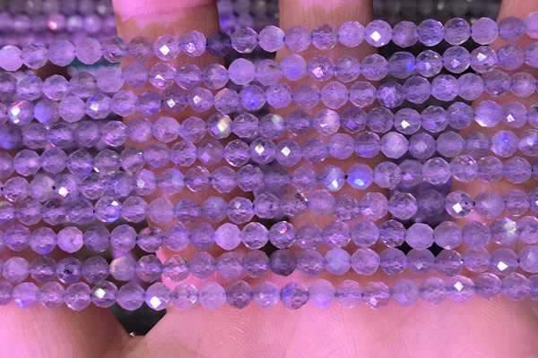 CTG1620 15.5 inches 4mm faceted round tiny labradorite beads