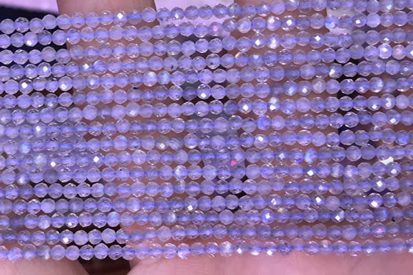 CTG1621 15.5 inches 2mm faceted round tiny labradorite beads