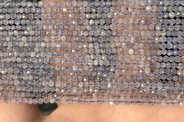 CTG2133 15 inches 2mm,3mm faceted round labradorite gemstone beads