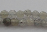 CTG217 15.5 inches 3mm faceted round tiny labradorite beads