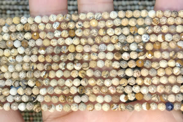 CTG2213 15 inches 2mm,3mm faceted round picture jasper beads