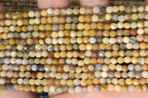 CTG2219 15 inches 2mm,3mm faceted round crazy lace agate beads
