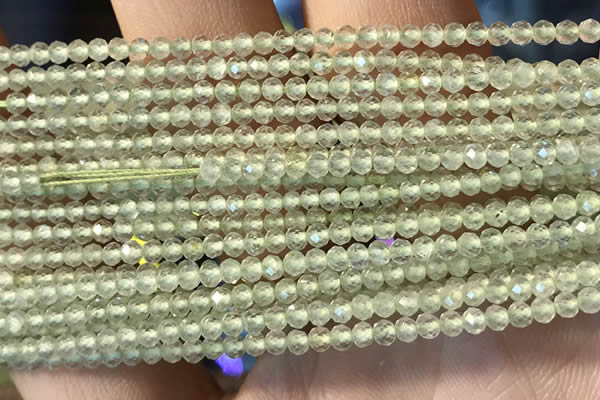 CTG2246 15 inches 2mm faceted round natural prehnite beads