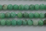 CTG225 15.5 inches 3mm faceted round tiny grass agate beads