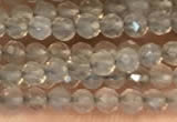 CTG2255 15 inches 2mm faceted round grey agate beads