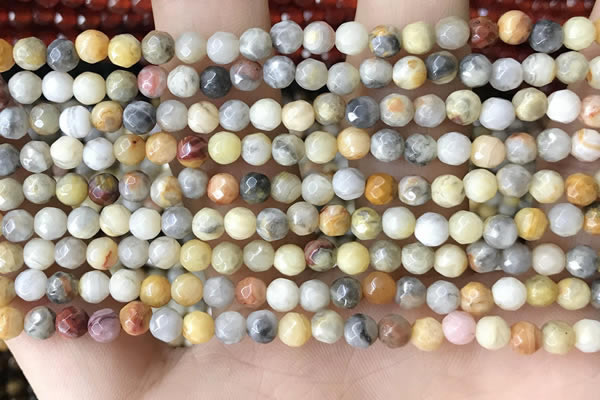 CTG2536 15.5 inches 4mm faceted round crazy lace agate beads