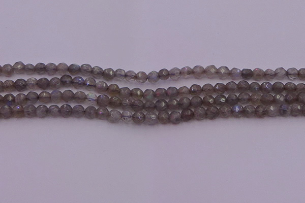 CTG509 15.5 inches 4mm faceted round tiny labradorite beads