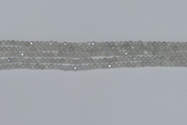 CTG613 15.5 inches 3mm faceted round labradorite beads