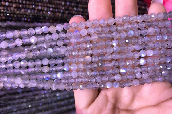 CTG703 15.5 inches 5mm faceted round tiny labradorite beads