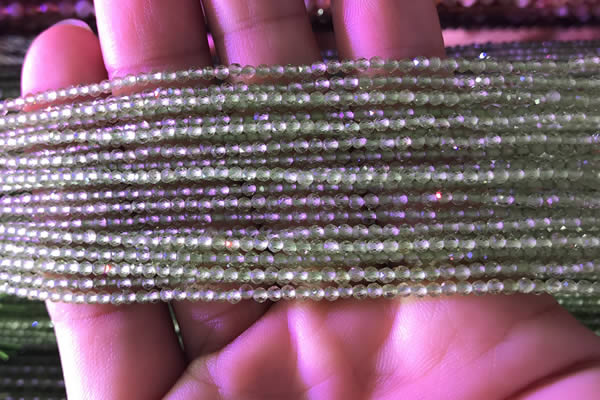 CTG743 15.5 inches 2mm faceted round tiny prehnite beads