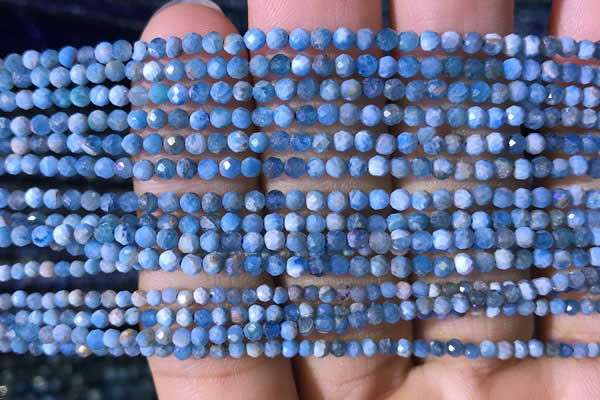 CTG759 15.5 inches 2mm faceted round tiny apatite gemstone beads
