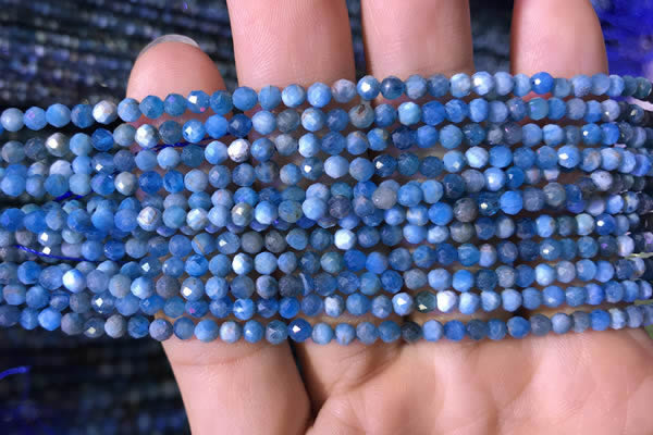CTG760 15.5 inches 3mm faceted round tiny apatite gemstone beads