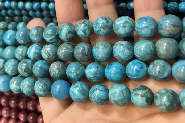 CTU3019 15.5 inches 12mm round South African turquoise beads
