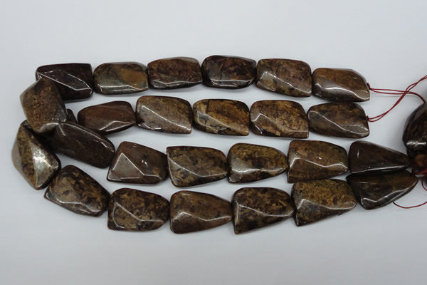 CTW410 15.5 inches 22*30mm twisted bronzite gemstone beads