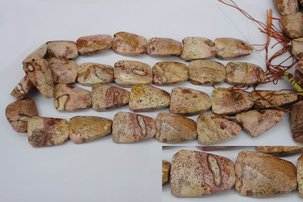 CTW420 15.5 inches 20*30mm faceted & twisted picture jasper beads