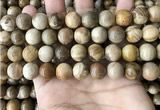 CWJ594 15.5 inches 12mm round wood jasper beads wholesale