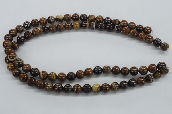 CZJ171 15.5 inches 10mm round iron zebra jasper beads wholesale