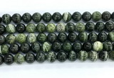 CZJ573 15.5 inches 10mm round green zebra jasper gemstone beads