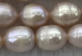FWP197 15 inches 7mm - 8mm rice purple freshwater pearl strands