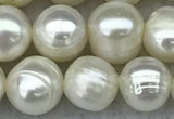 FWP66 15 inches 7mm - 8mm potato white freshwater pearl strands