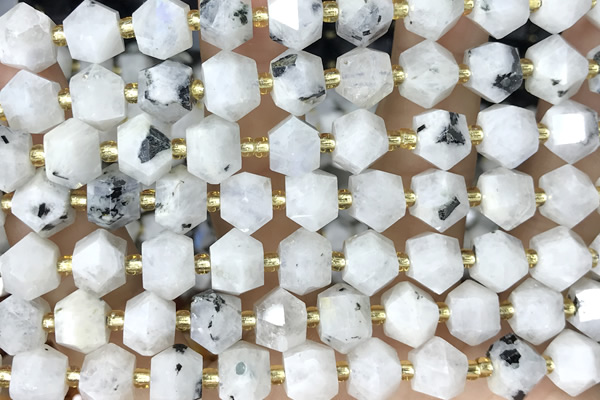 MIXE102 15 inches 10mm faceted white moonstone gemstone beads