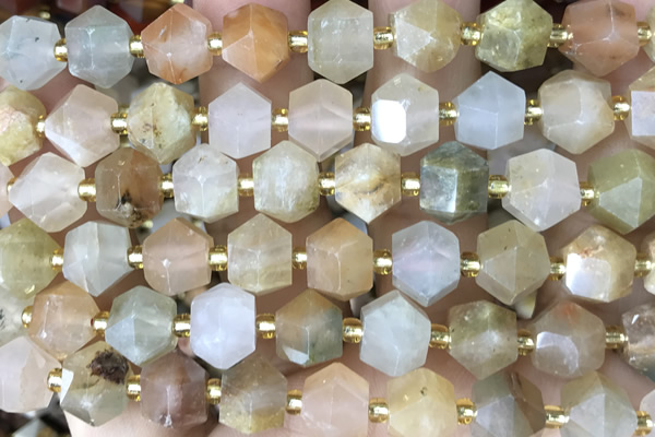 MIXE108 15 inches 10mm faceted jasper gemstone beads
