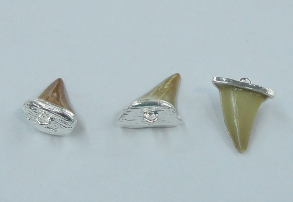 NGP2496 15*18mm - 18*20mm shark teeth pendants wholesale