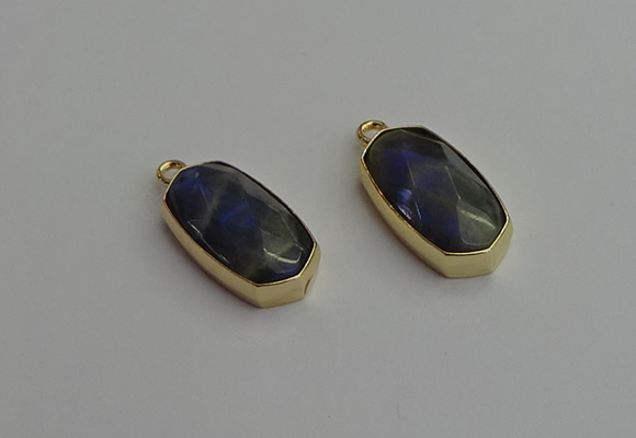 NGP7270 13*25mm faceted freeform labradorite pendants wholesale