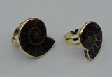 NGR206 25*25mm – 25*30mm carved ammonite rings wholesale