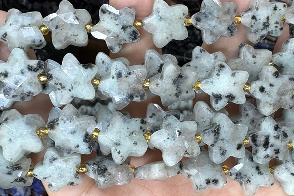 STAR50 15 inches 14mm faceted star sesame jasper beads