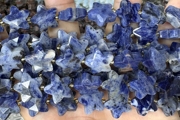 STAR57 15 inches 14mm faceted star sodalite gemstone beads