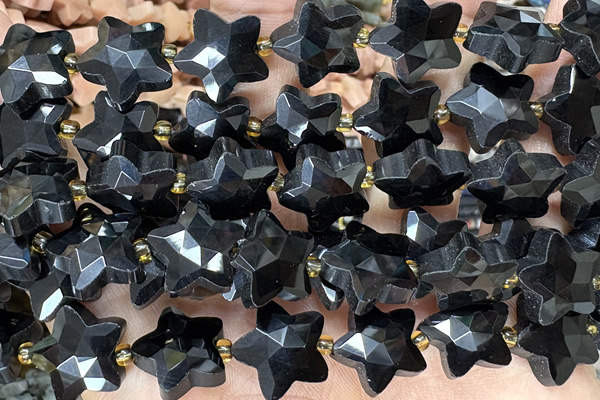 STAR65 15 inches 14mm faceted star black onyx beads